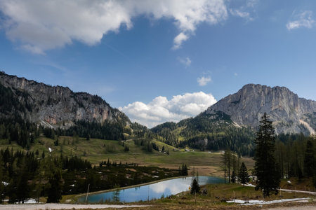 blue lake in a mountain landscape with alms and trees during hiking in austriaの写真素材
