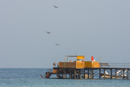 sea gulls flying over a wooden jetty at the seaの写真素材