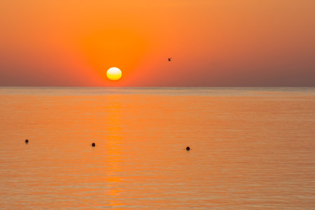 yellow bright shining sun with orange sky and sea with a seagull in egyptの写真素材
