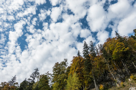 amazing view to the sky with white clouds and colorful trees during hiking in the autumn mountainsの写真素材