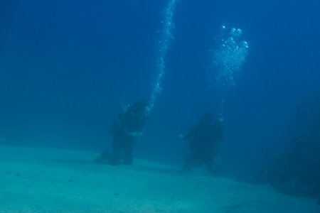 two divers at their training at the sandy seabed in clear water from egyptの写真素材