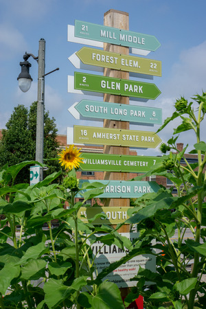 Street sign during the day with sunflowers in Williamsville NYの写真素材