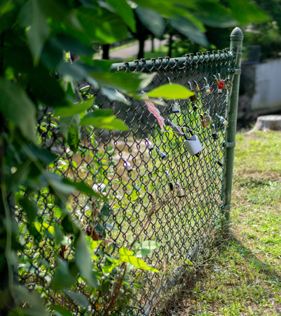 Love locks on fence at parkの写真素材