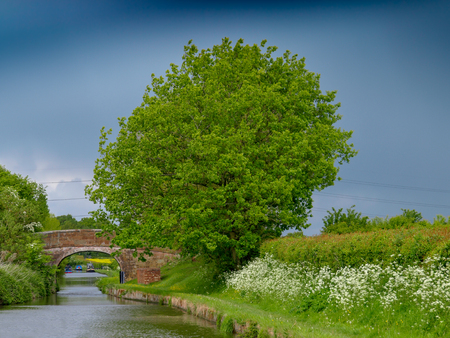Bridge with tree on the Shropshire Union Canal in England.の写真素材