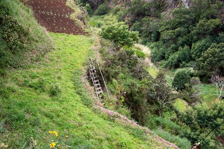 Levada do Canical near Machico on the Island of Madeira. Leavdas are irrigation channels specific to the island.の写真素材