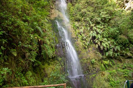 Waterfall beside the hiking trail on the Levada Caldeirao Verde near Santana on the island of Madeira, Portugal.の写真素材