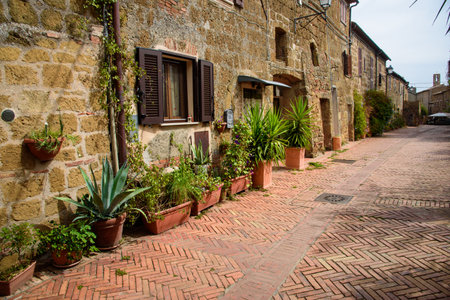 Street view with typical houses and potted flowers in Sovana. Sovana is a small town in the province of Grosseto in southern Tuscany, Italy.の写真素材
