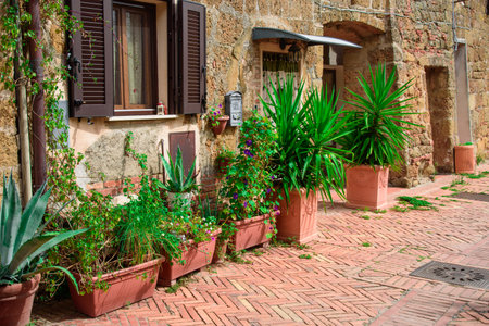 Street view with typical houses and potted flowers in Sovana. Sovana is a small town in the province...
