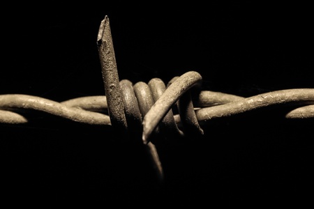 Barb wire closeup detail の写真素材