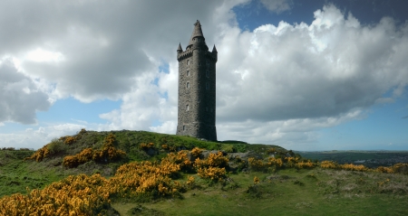 The solitary Scrabo tower on a highland, hilly meadow の写真素材