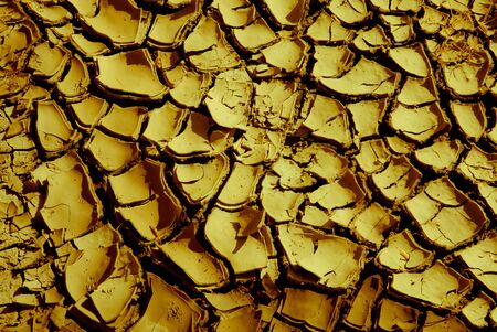 Yellow dried mud forming a mosaic like pattern の写真素材