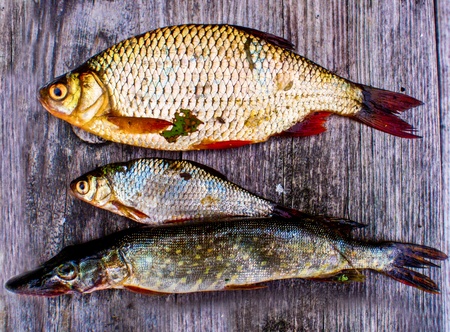 A set of three fish lying on a grey wooden table 