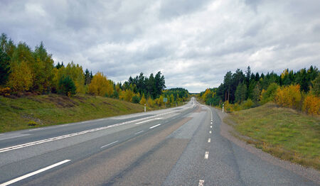 A picture of a highway going down in a slope, in an autumnal setting 