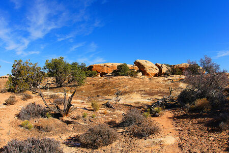 A picture of a rocky prarie landscape below a blue and slightly cloudy sky on a summer day の写真素材