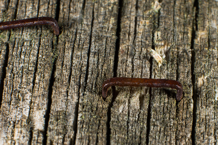 Closeup detail of an old, wooden bulletin board with left rusty staples の写真素材