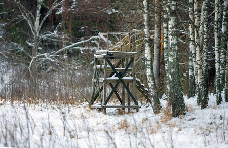 A picture of a wooden hunting stand in a birch tree landscape in the winter の写真素材