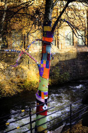 A picture of a  yarnbombed  tree in the fall, growing next to a small bridge in an urban environment の写真素材