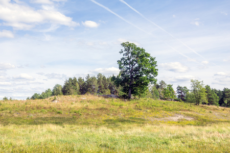 Land that has been used for Pasture for a long timeの写真素材