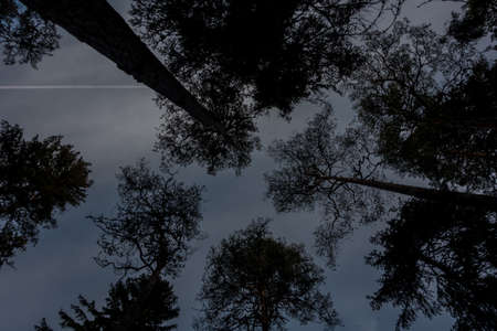 Norra Kvill National Park in late fall