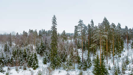 Landscape covered in snow in winter