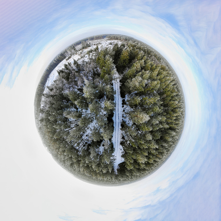 Sperical panorama of a winter forest