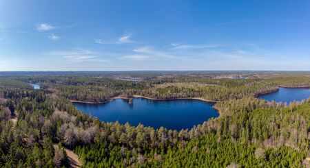 Wooded  ostergotland panoramo of  a evergreen landscpe in  Swedenの写真素材