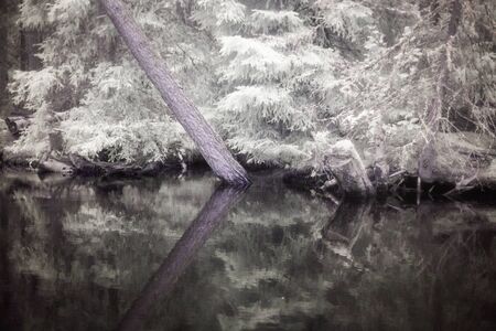 Lake Bunn shore in Sweden in with ultraviolet filterの写真素材