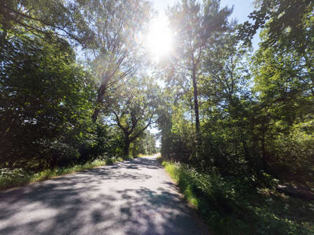Mark district in Sweden during late summerの写真素材