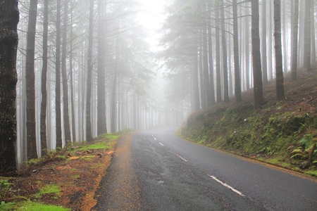 Road in the clouds