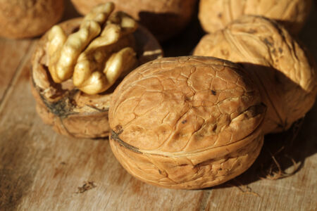 Walnutの写真素材