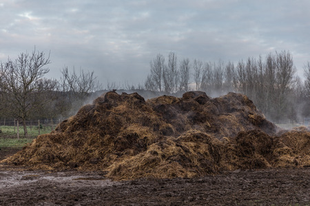 Horse Manure Pileの写真素材