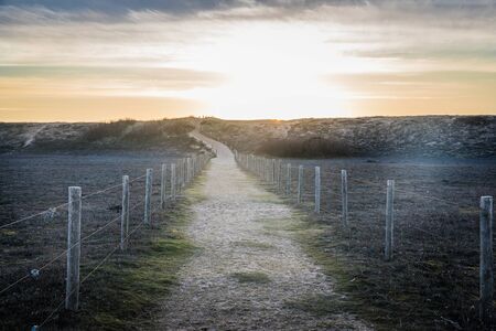 Sandy path in the dunes of la Gachere (Bretignolles-sur-mer, France)の写真素材