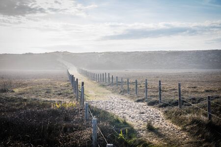 Lightly foggy path in the dunes of la Gachere (Bretignolles-sur-mer, France)の写真素材