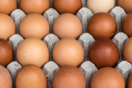 Chicken eggs pallet from the farmの写真素材