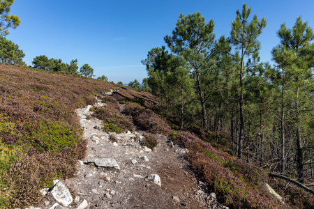 Coastal trail towards la pointe de Saint-Hernot on the Crozon Peninsula (Finistere, France)の写真素材