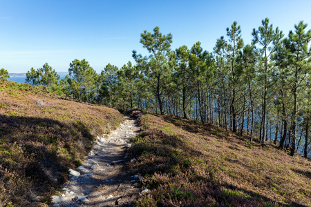 Coastal trail towards la pointe de Saint-Hernot on the Crozon Peninsula (Finistere, France)の写真素材