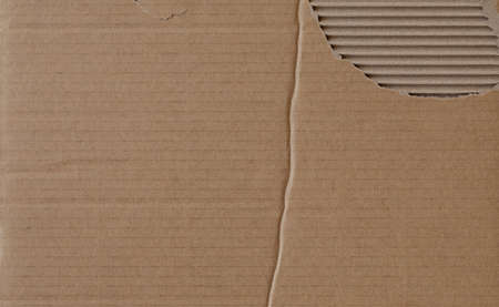 Worn cardboard texture with fold and torn partの写真素材