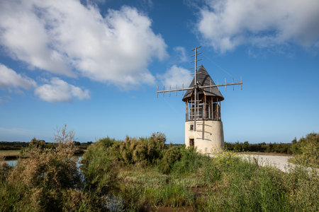 Gueffard mill in the ile-d'Olonne swamp (Vendee - France)