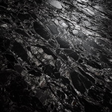 Black marble texture background. Black marble pattern. Noir et blanc.の素材