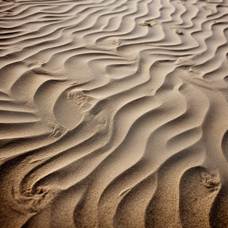 abstract texture line wave in oman the old desert and the empty quarterの素材