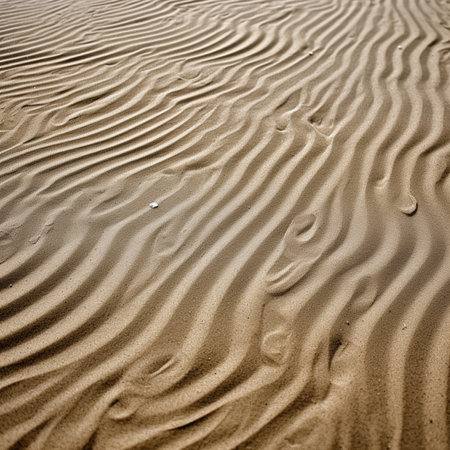 abstract texture of sand on the beach in oman the old desertの素材