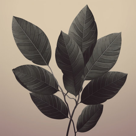 Leaves of the magnolia tree. Vintage style toned pictureの素材