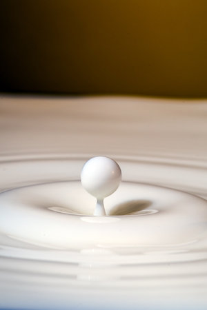 small bulletの写真素材