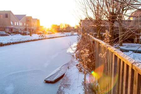 The sunrise illuminates foliage covered in rime and ice particles.の写真素材