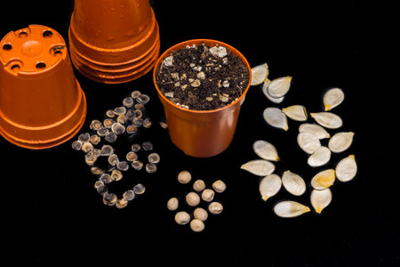 Seeds, pots, pencil and labels, everything to start seeding seeds.の写真素材