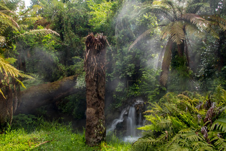 Waterfall and hot springs in forest near Rotorua, New Zealand