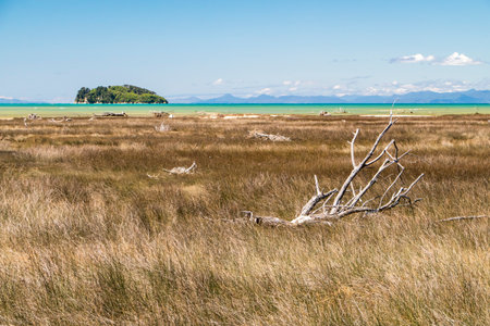 View across the bay south of Abel Tasman National Park, New Zealandの写真素材