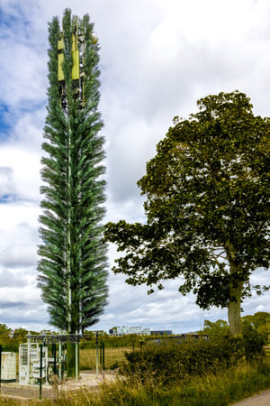 Mobile telecommunication cell tower disguised as a tree, camouflaged gsm antenna.の写真素材