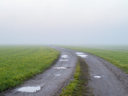 Foggy rural road in the countryside in summer. Landscape.の写真素材