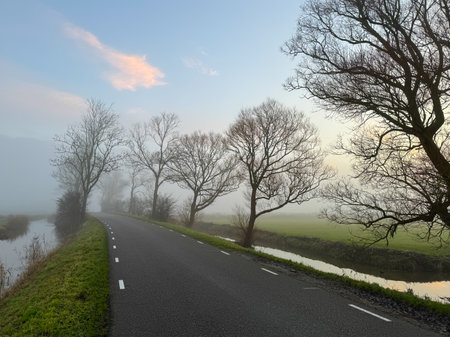 Country road through a foggy landscape in the Netherlands at sunrise.の写真素材